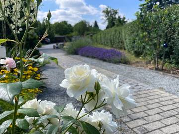 Dom dla 4 osoby w Budziszyn, Oberlausitz-Niederschlesien, Zdjęcie 4