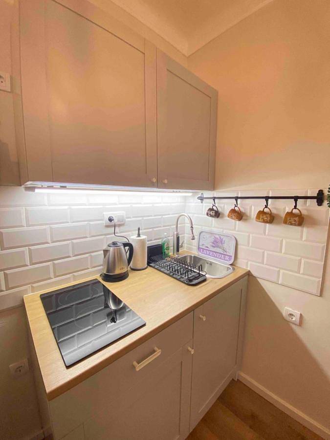 Maison d’hôte pour 4 personnes, avec jardin et vue à Belgrade - 4