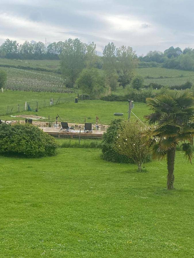 Chambre d’hôte pour 2 personnes, avec piscine et jardin dans Port de Bourg-sur-Gironde - 2