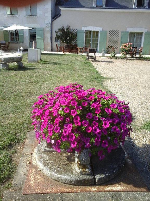 Le Manoir des Prés - Chambre Camélia in Vallières-les-Grandes, Région de Blois