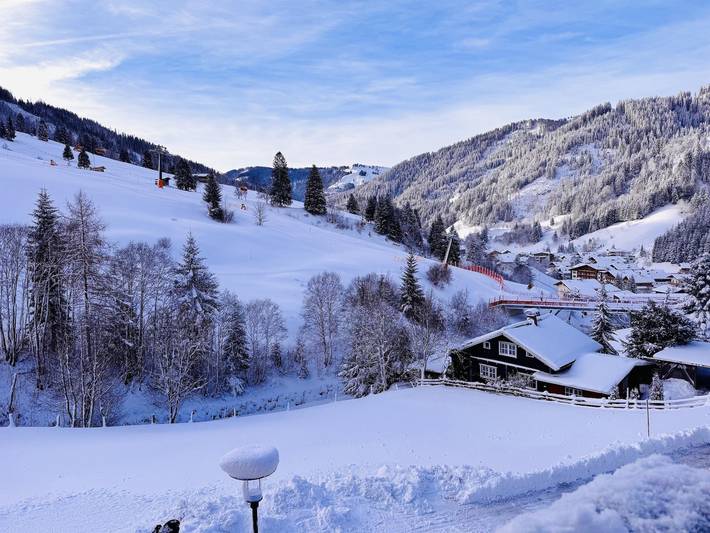 Ganze Ferienwohnung, Apartment/2 Schlafräume,Dusche/Wc in Dienten am Hochkönig, Pinzgau