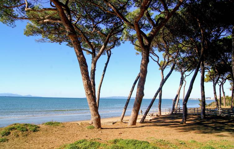 Gîte pour 4 personnes à Piombino - 4