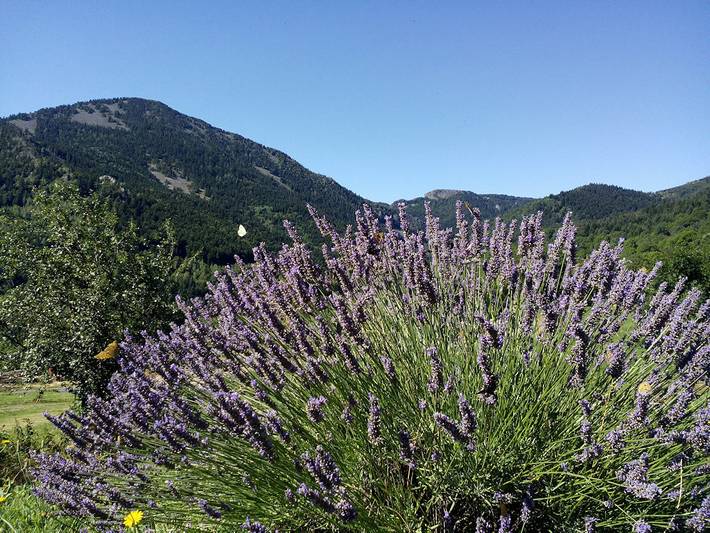 Location de vacances pour 6 personnes, avec terrasse et jardin en Ardèche - 4