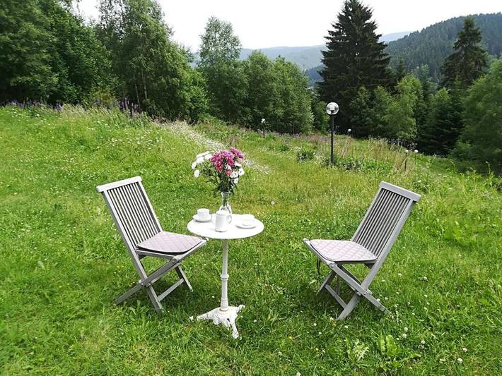 Ferienwohnung für 10 Personen, mit Terrasse und Garten sowie Ausblick in Schulenberg im Oberharz - 3