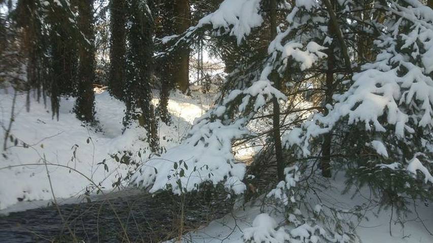 Ferienwohnung für 8 Personen, mit Garten in Fritzlar - 4