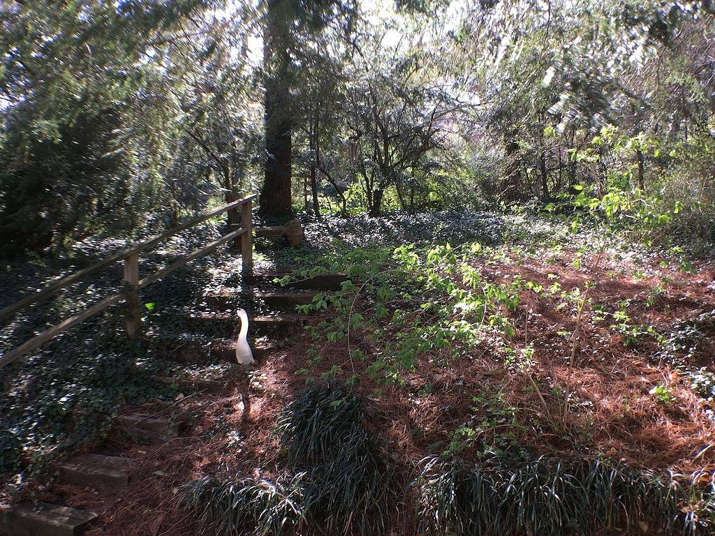 Ruhiger Ort in der Nähe von allem in Blue Ridge Parkway, Asheville