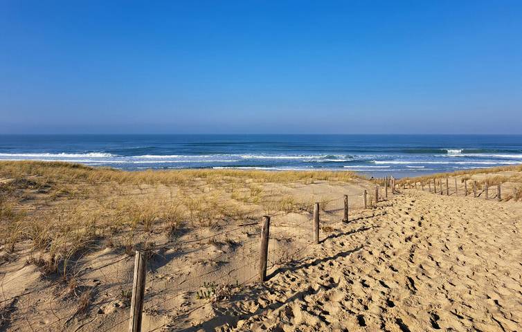 Location de vacances pour 7 personnes, avec terrasse ainsi que piscine et jardin, animaux acceptés à Talais - 3