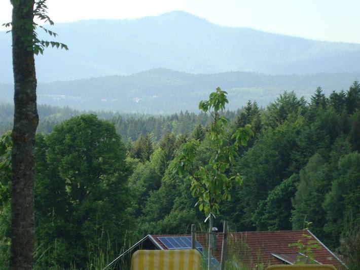 Ferienhaus für 2 Personen, mit Terrasse und Garten, mit Haustier in Neuschönau - 3