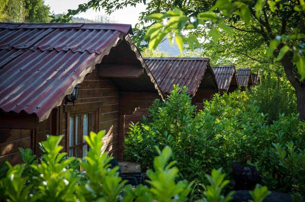 Fuente del Lobo Glamping & Bungalows - Adults Only in Okolice Sierra Nevada, Pinos Genil