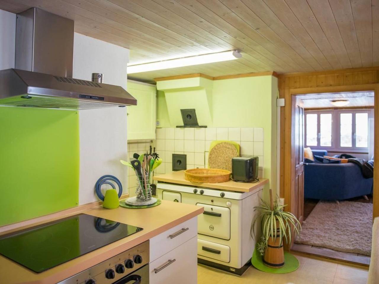 Ganze Wohnung, Hasliberg Goldern in Hasliberg, Berner Oberland