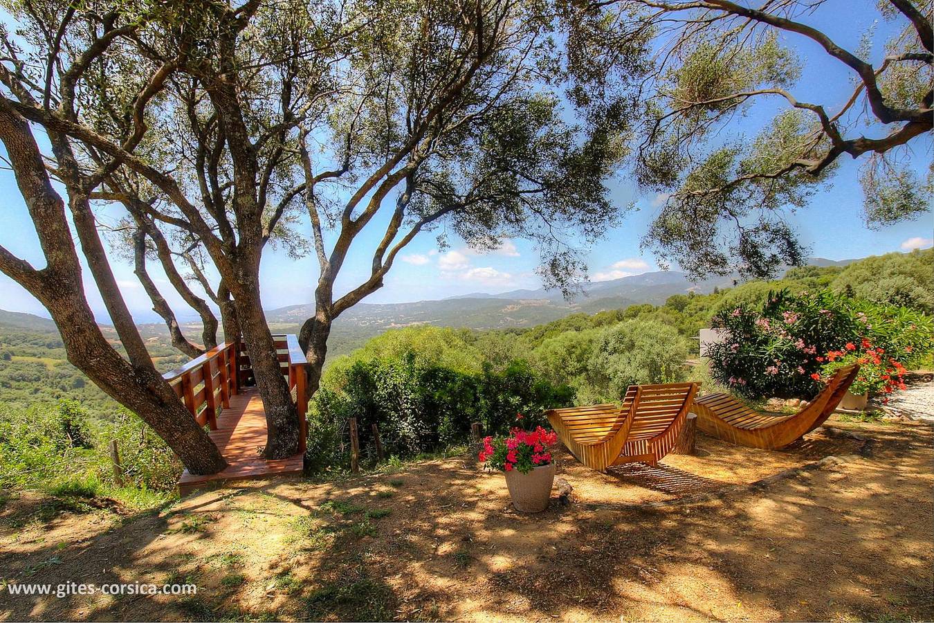 La Zinzala in Sollacaro, Sartène e dintorni