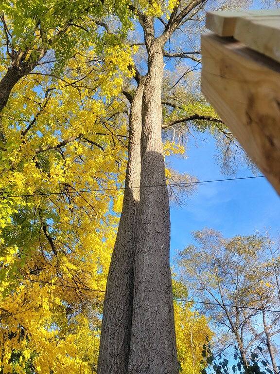 Vacation rental for 16 people, with pool and yard as well as balcony in Oakland County