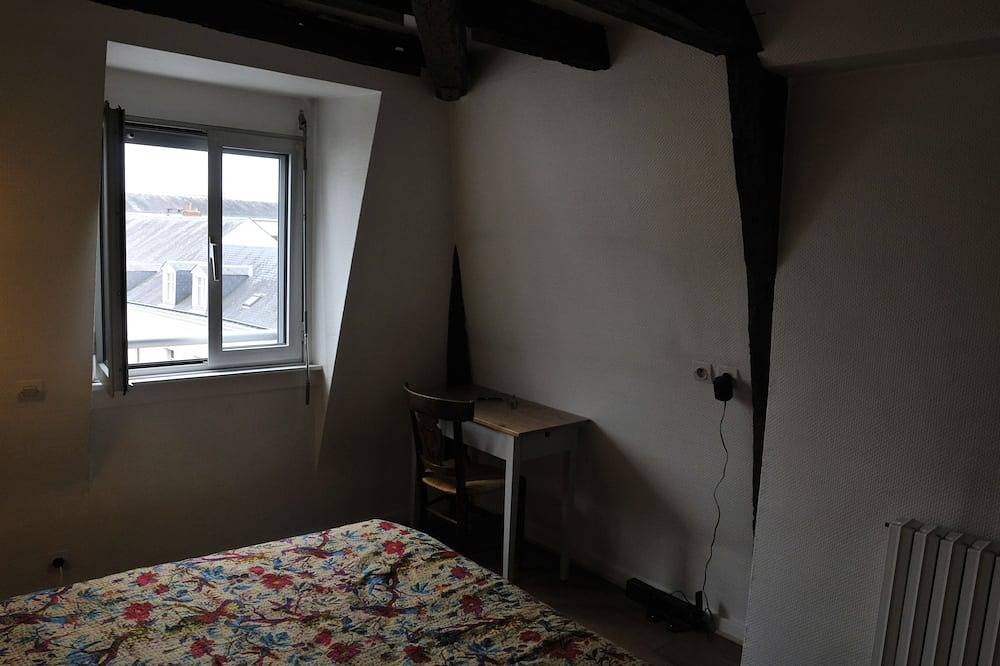 Apartamento entero, Torres históricas, apartamento completamente renovado. in Tours, Región de Tours