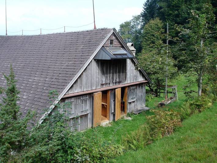 Ruchweid in Ebnat-Kappel, Zürich Voralpen