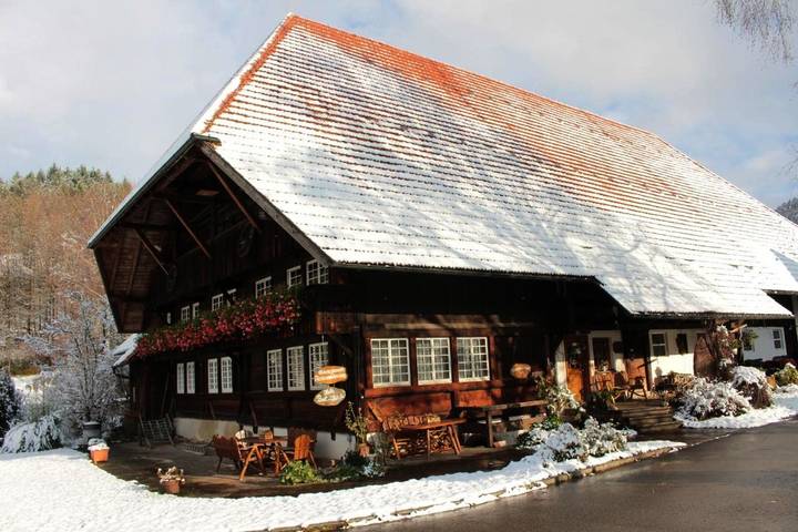 Ferienhaus für 2 Personen, mit Balkon und Whirlpool sowie Terrasse und Garten in Gutach (Schwarzwaldbahn)