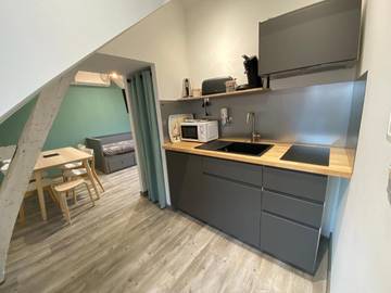 Gîte pour 6 personnes, avec jardin à Huismes