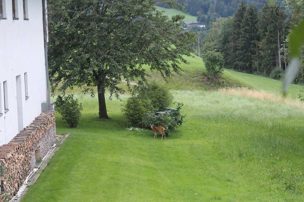 Ganze Wohnung, Pension Christoph - Appartement Christoph in Kramsach, Kaisergebirge