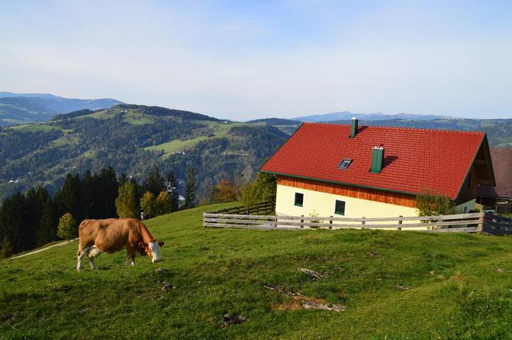 Ferienhaus für 10 Personen, mit Ausblick und Sauna sowie Garten, mit Haustier