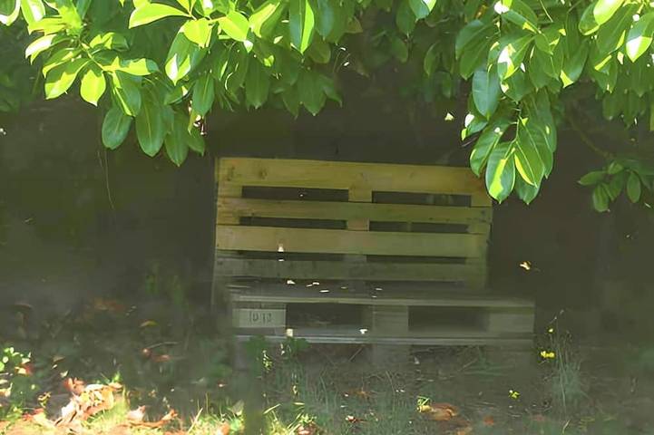 Gîte pour 2 personnes, avec Jardin à Plouédern - 3