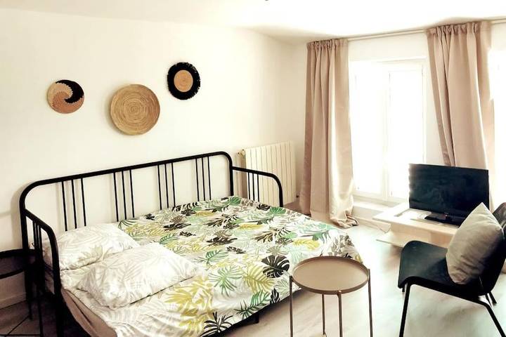 Gîte pour 2 personnes, avec vue, animaux acceptés à Sainte-Foy-lès-Lyon - 3