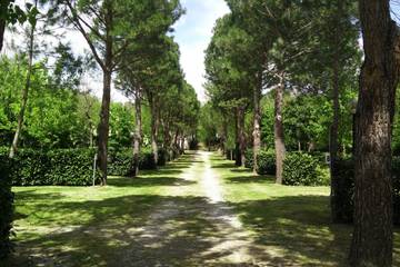 Glamping per 4 Persone in Bucine (Gemeinde), Chianti, Foto 4