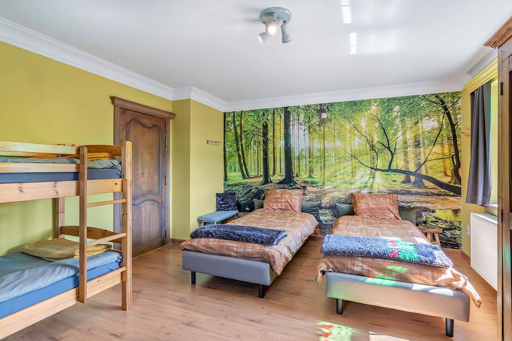 Ruime karakteristieke woning rustig gelegen vlakbij Tongeren centrum. in Tongeren, Belgisch-Limburg