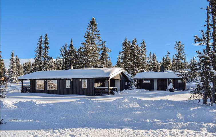 Location de vacances pour 9 personnes, avec jardin dans Sjusjoen - 2