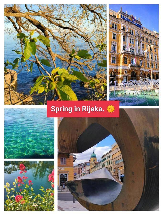 Maison d’hôte pour 2 personnes, avec terrasse à Rijeka