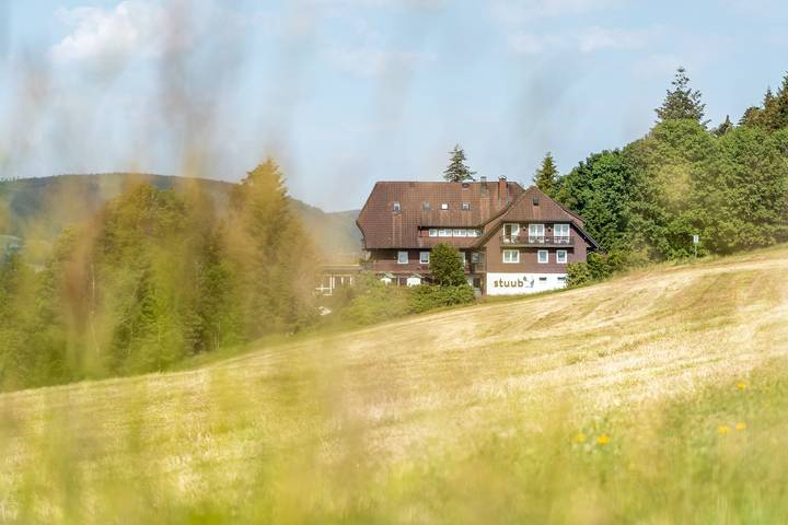Ferienwohnung für 4 Personen, mit Sauna in Breitnau - 2