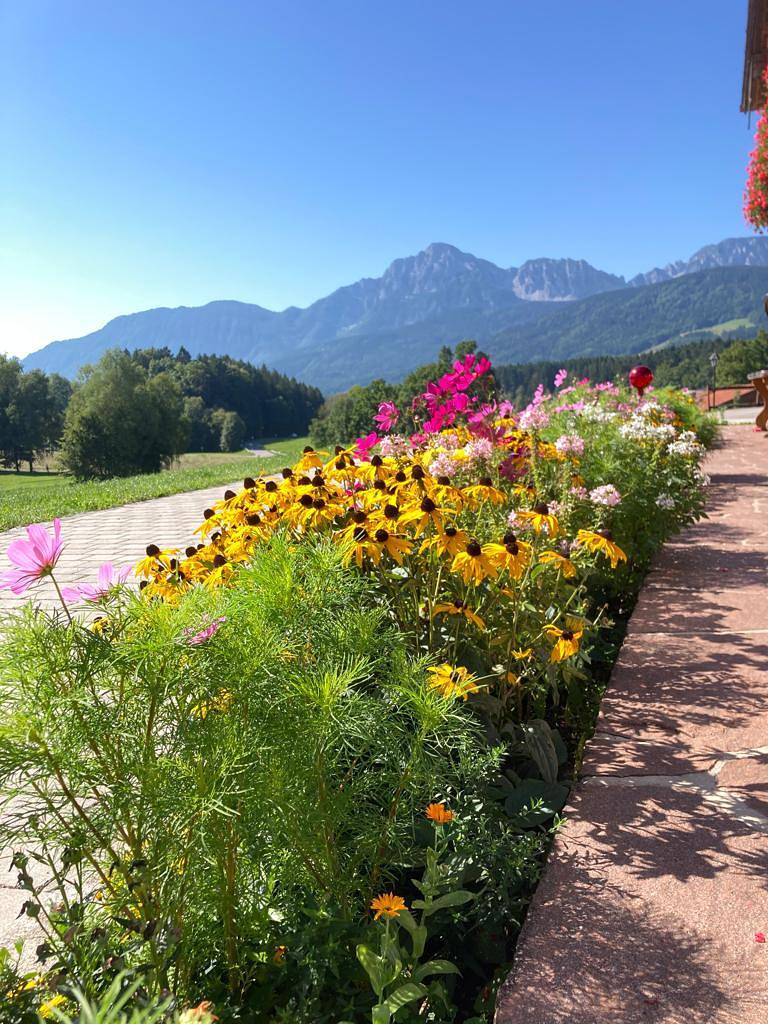 Barmbichlhof - Staufenblick, 38m², Sat-Tv, Balkon, max. 2 Personen in Anger, Bayerische Alpen