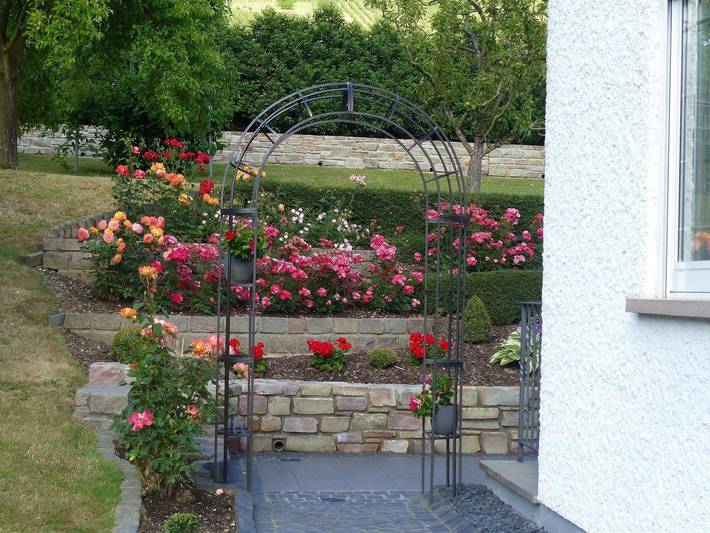 Ferienwohnung für 2 Personen, mit Garten in Zeltingen-Rachtig - 3