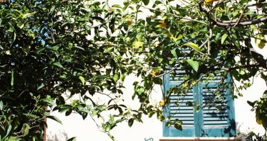 Location de vacances pour 5 personnes, avec jardin, animaux acceptés à San Vito Lo Capo - 2