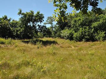 Ferienhaus für 8 Personen in Eijerland, De Cocksdorp, Bild 1