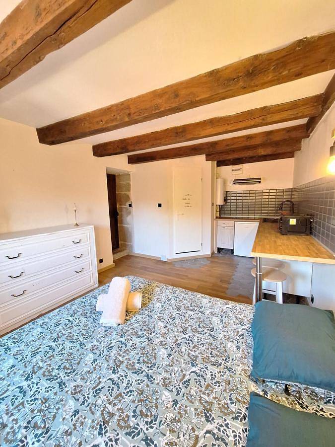 Gîte pour 5 personnes, avec jacuzzi à Alby-sur-Chéran - 2