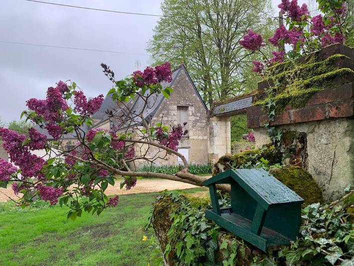 Gästehaus für 2 Personen, mit Garten und Terrasse - 1