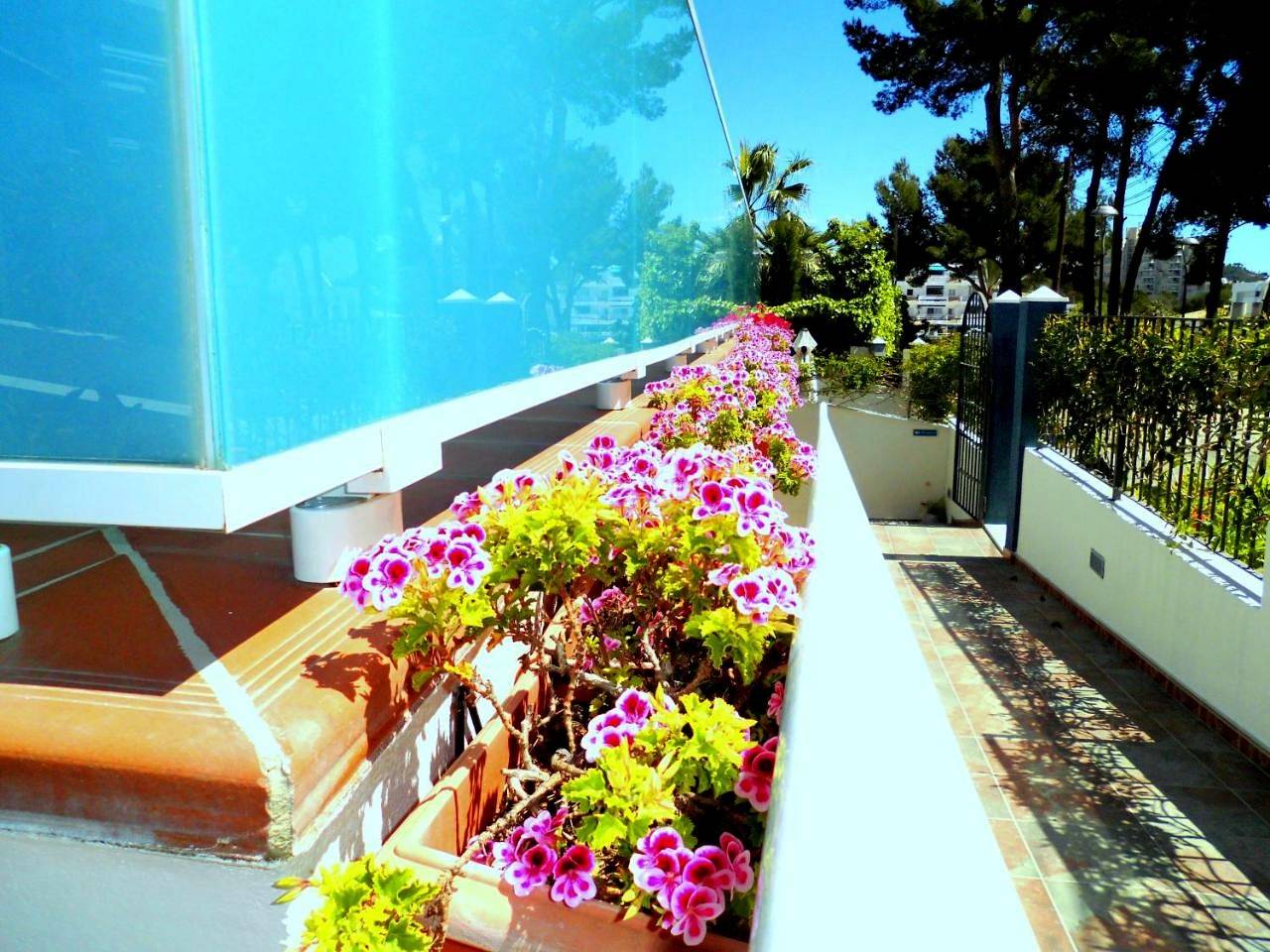 Ganze Wohnung, Apartamentos Petit Blau in Peguera, Calvià