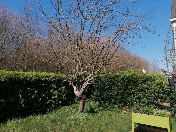 Location de vacances pour 6 personnes, avec terrasse et jardin à Chartres-de-Bretagne - 2