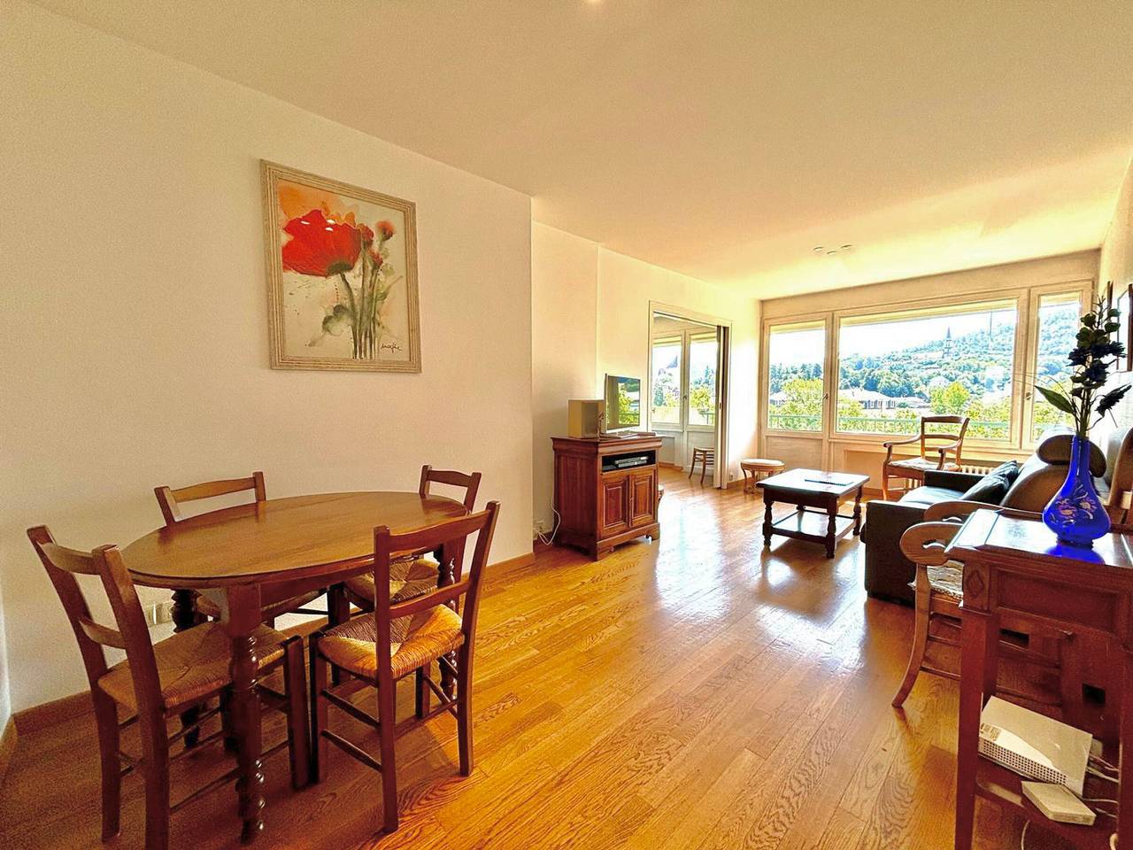Appartement entier, T3 spacieux à Annecy avec balcon vue montagnes, animaux admis in Annecy, Annecy (commune)