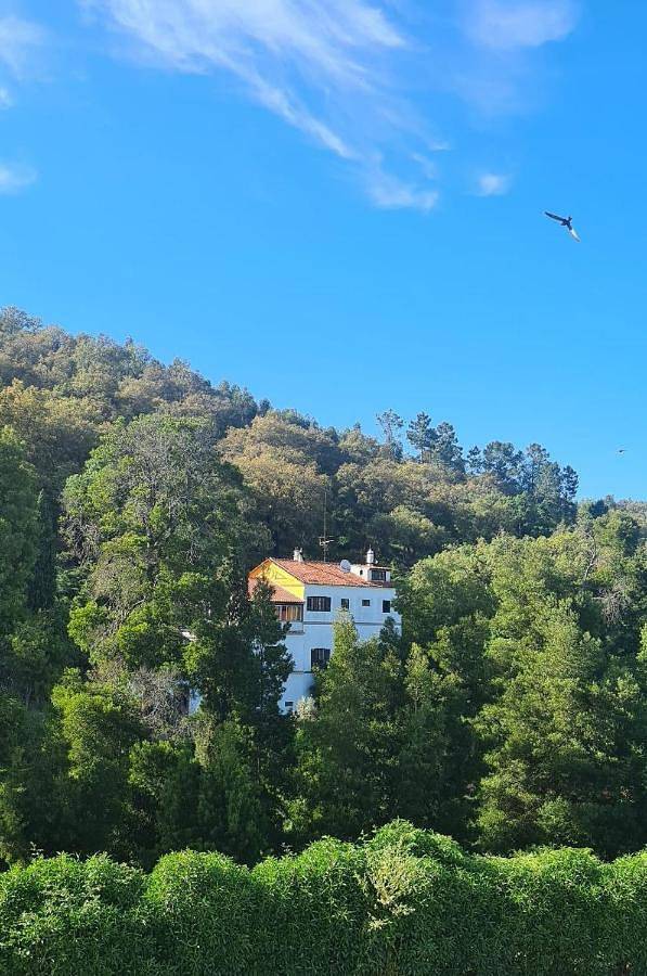 Albergue para 2 personas, con piscina además de jardín y vistas en Algarve - 2