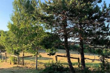 Chambre d’hôte pour 3 personnes, avec jardin à Damiatte