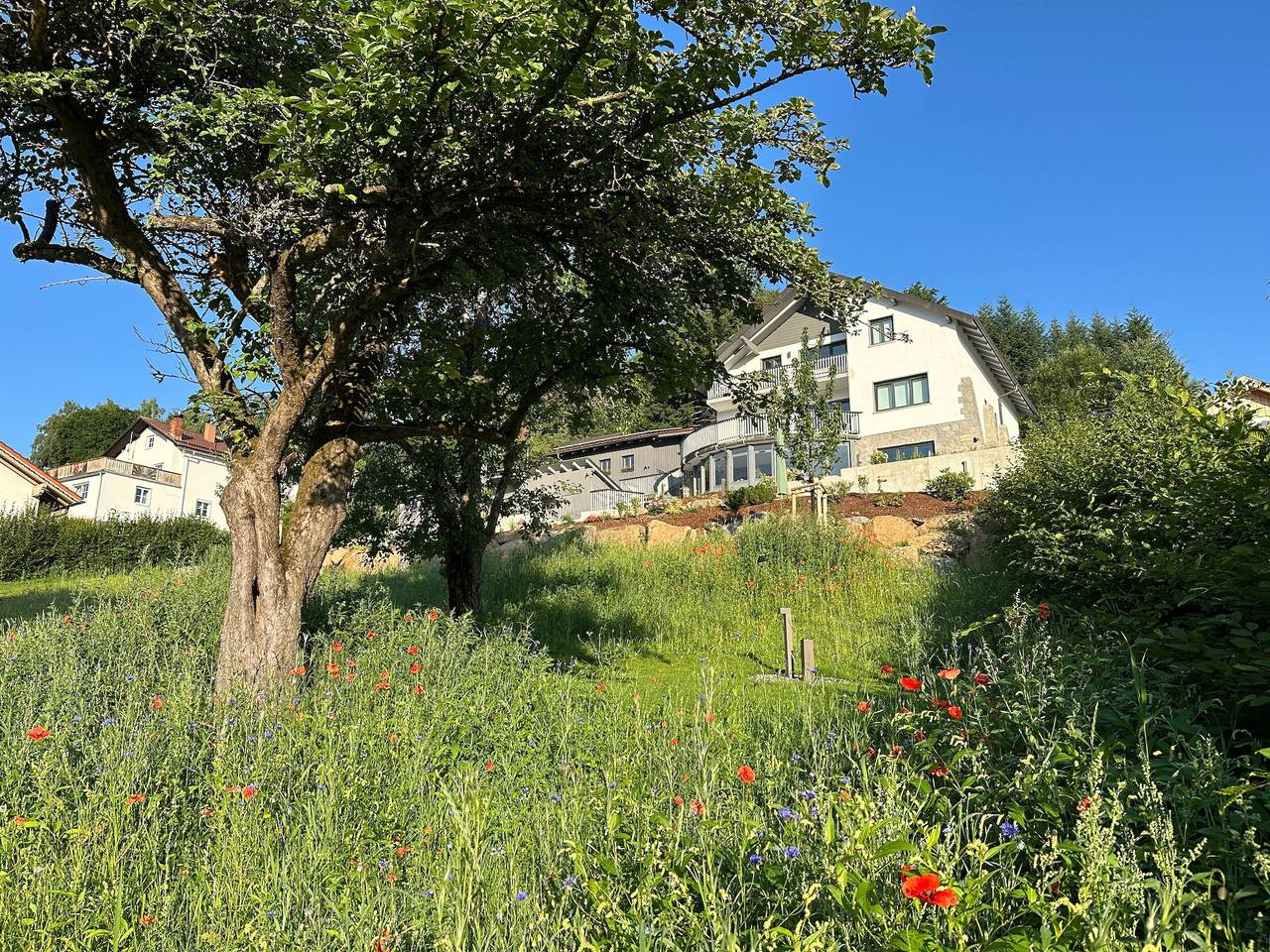 Ganze Wohnung, Ferienwohnung "Auerer Retreat" mit Bergblick, privaten Balkonen und Wlan in Frauenau, Ostbayern