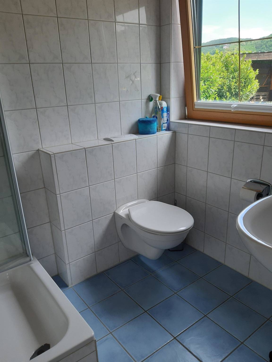 Ganze Ferienwohnung, Ferienappartement Lieser in Bernkastel-Kues, Bernkastel-Kues & Umgebung