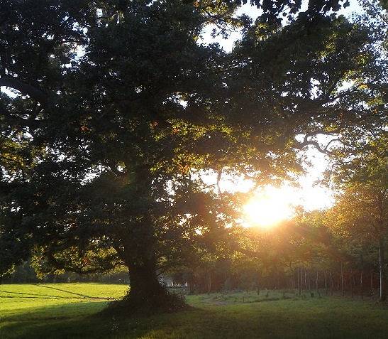 Gîte pour 6 personnes, avec jardin et terrasse à Trédarzec - 4
