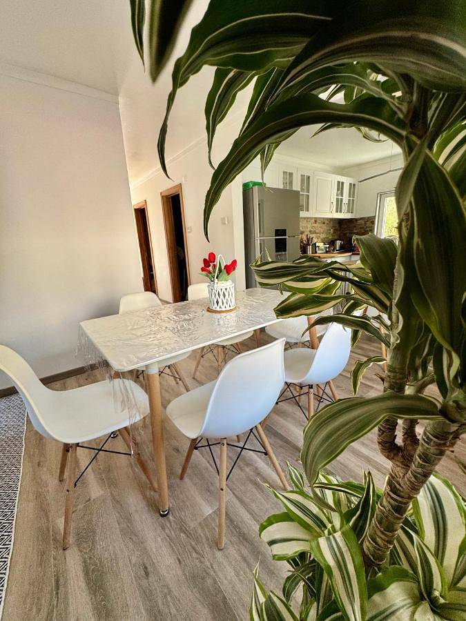 Gîte pour 6 personnes, avec vue et terrasse à Lamego - 3