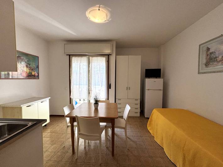 Studio for 4 people, with balcony/terrace and ocean view, with pets - 1