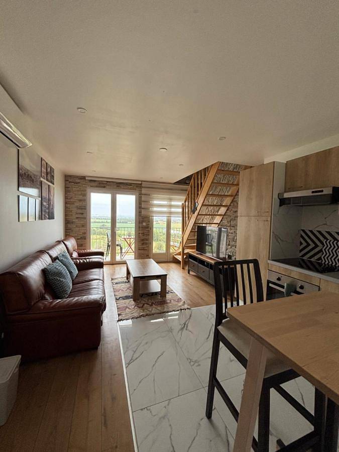 Gîte pour 3 personnes, avec jardin et vue à Le Fousseret - 4