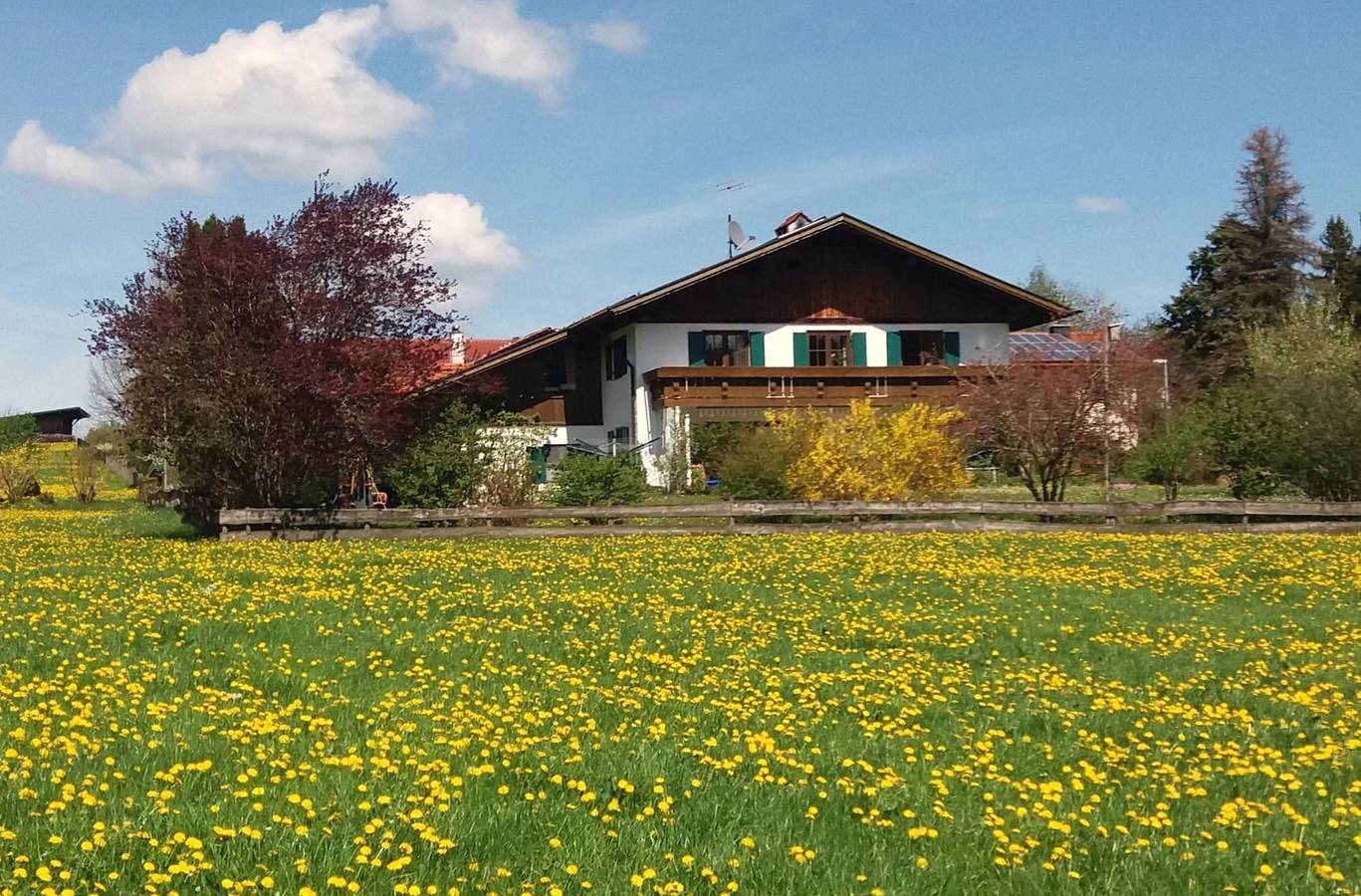 Ganze Ferienwohnung, Fewo Sonnenblume, Königscard in Rieden, Bayerisch Schwaben