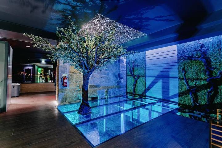 Gîte pour 4 personnes, avec jardin et sauna ainsi que jacuzzi et piscine dans Penalva do Castelo - 4