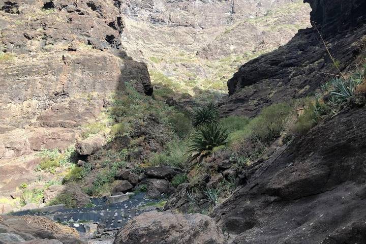 Casa rural para 2 personas, con vistas y terraza en Buenavista del Norte - 3