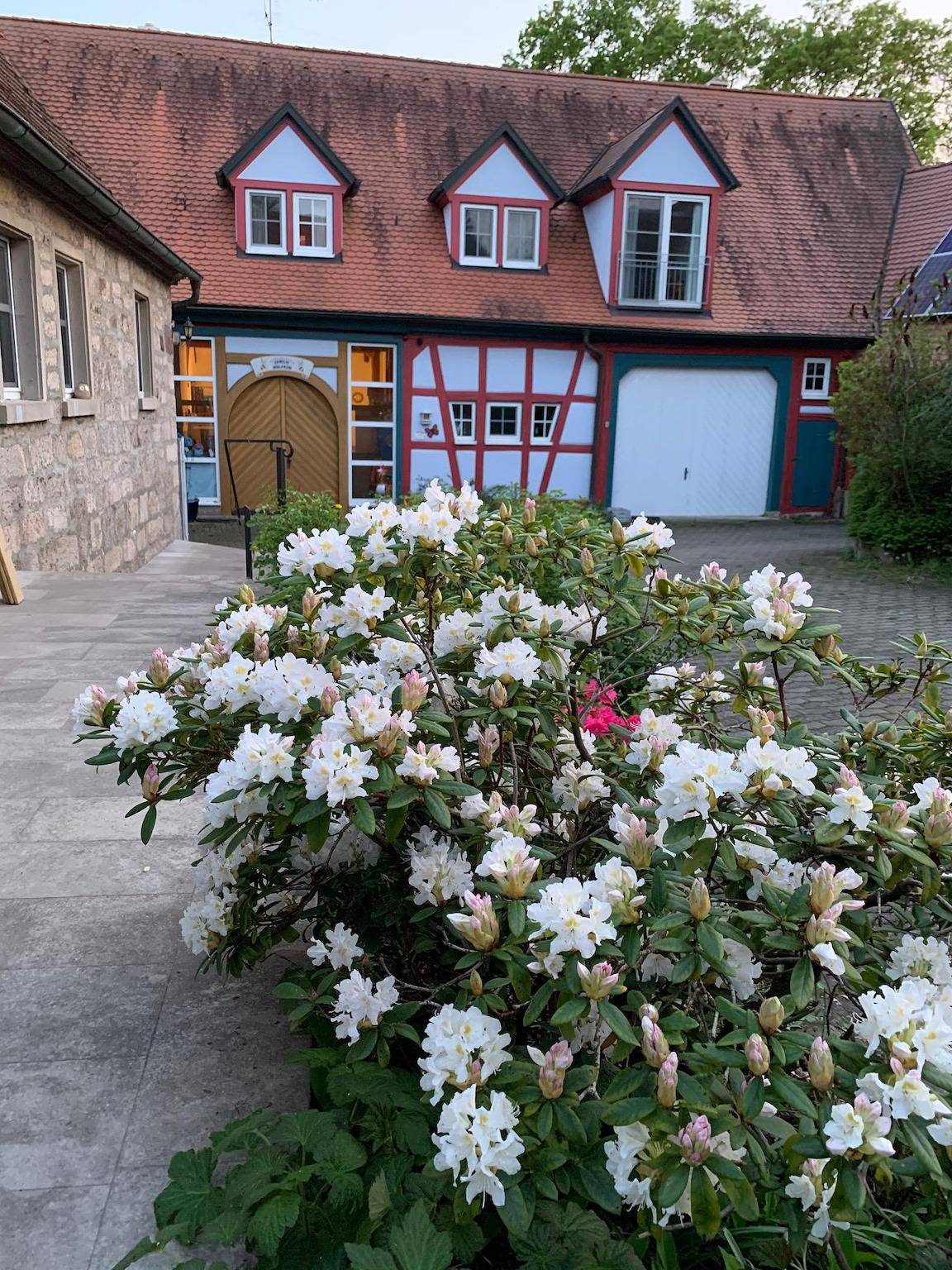 Pension im Vorhof - Ferienwohnung "Rosmarin" (50qm) für vier Personen in Windelsbach, Taubertal